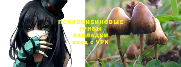 таблы Аркадак