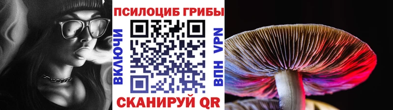 Псилоцибиновые грибы прущие грибы  Усть-Кут 
